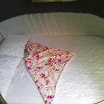 Tent Under Pines