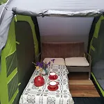 Tent Under Pines