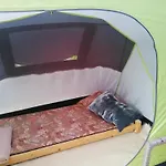 Tent Under Pines