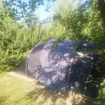 Tent Under Pines