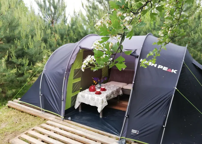 Tent Under Pines