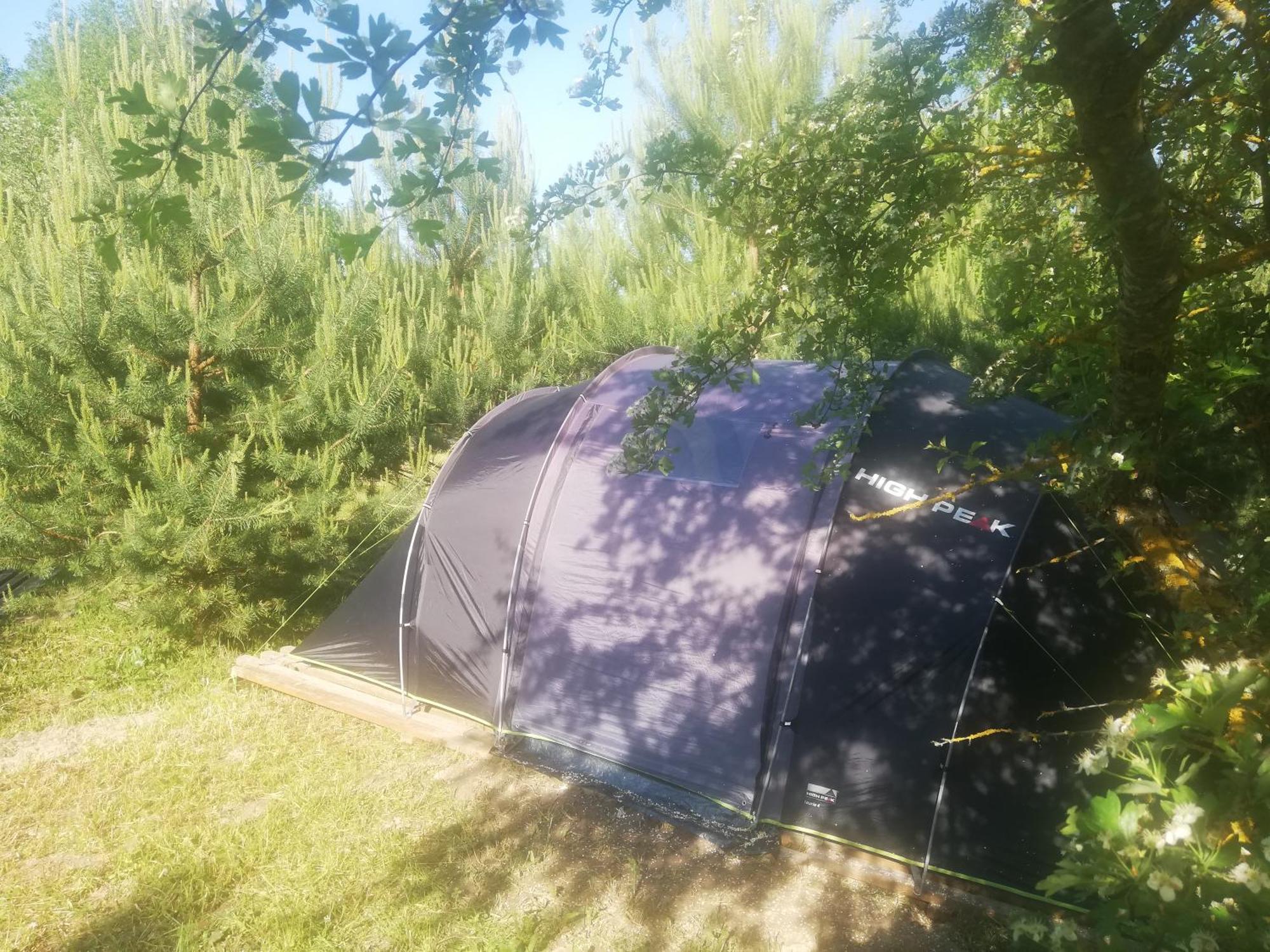 Tent Under Pines * Vilnius